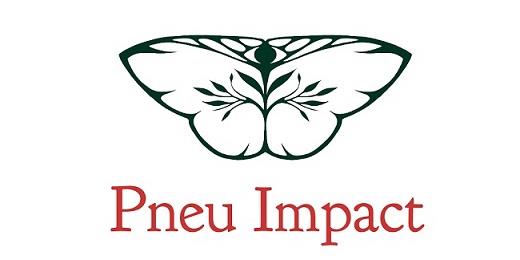 Pneu Impact logo