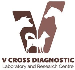 V CROSS DIAGNOSTIC Laboratory and Research Centre logo