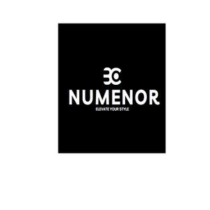 NUMENOR logo