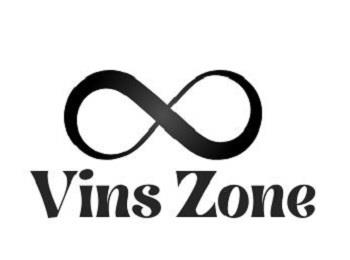 Vins Zone logo