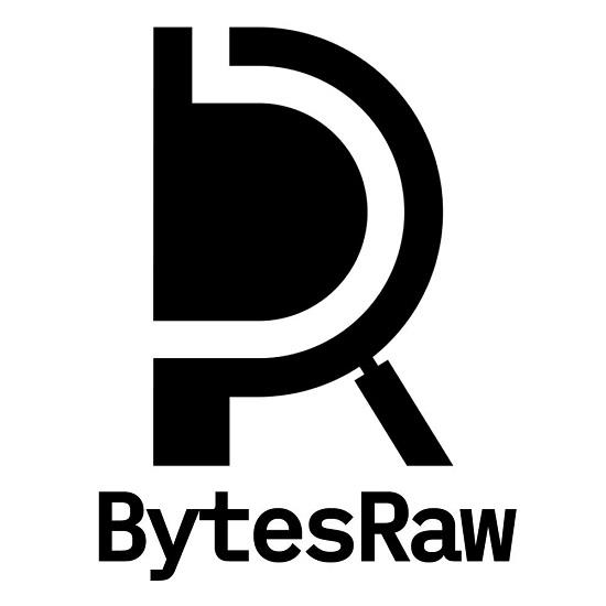 BytesRaw logo
