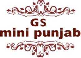 mini punjab logo