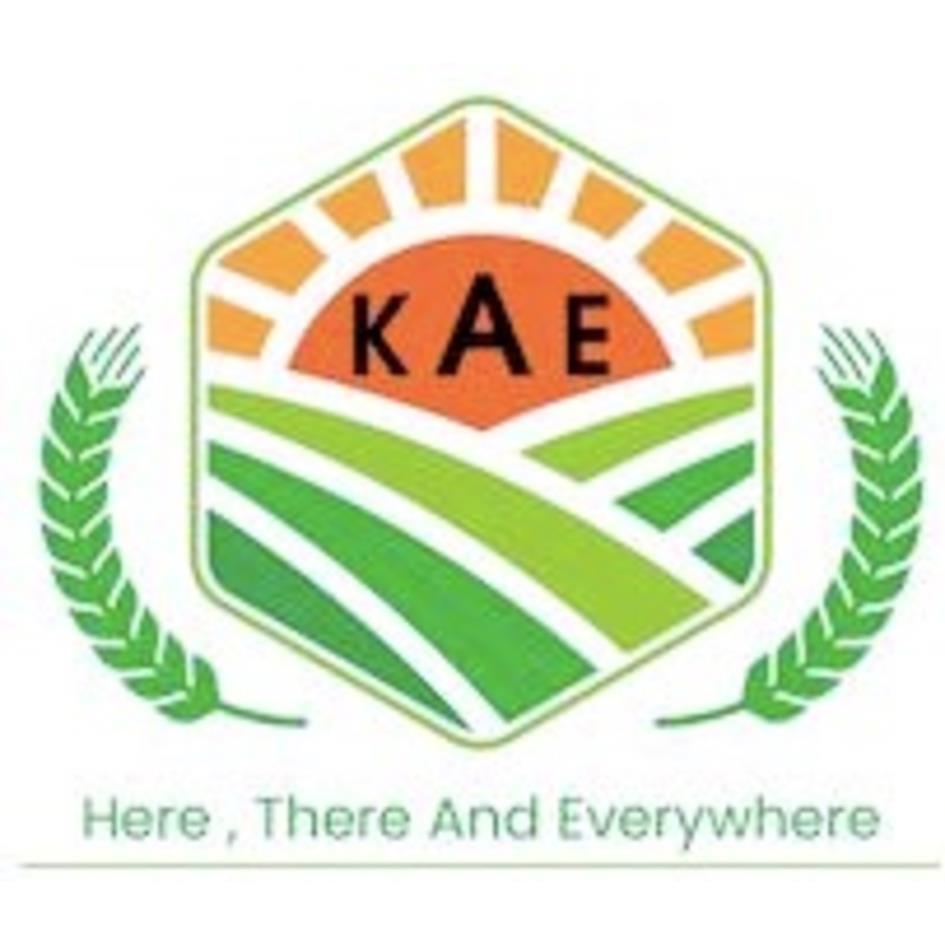 Here , There And Everywhere logo
