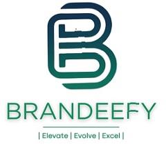 BRANDEEFY logo