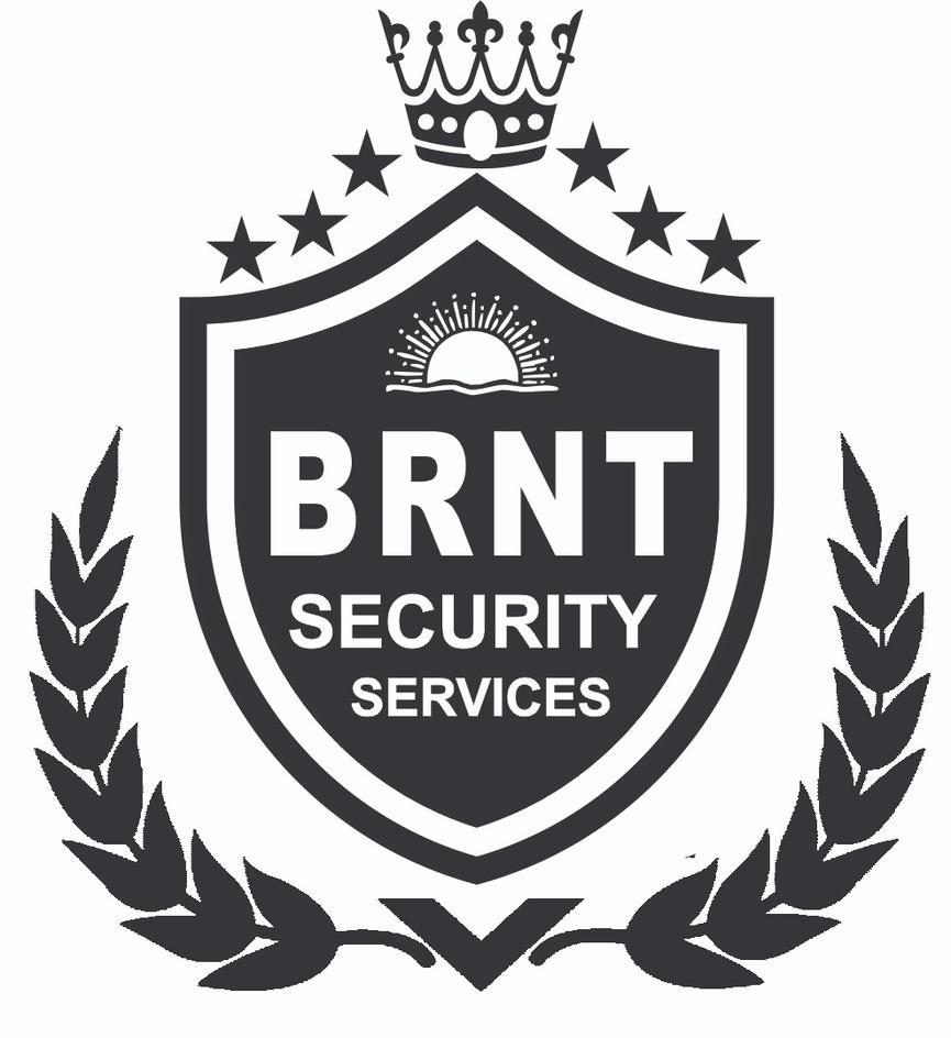 SECURITY SERVICES logo