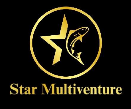 Star Multiventure logo