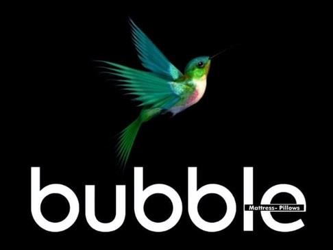 bubbie logo