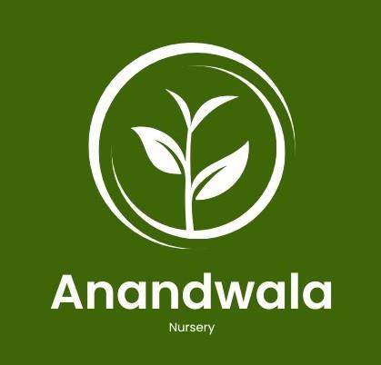 Anandwala logo