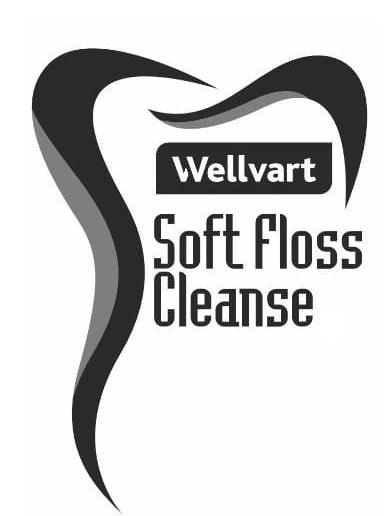 Soft Floss Cleanse logo
