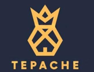 TEPACHE logo