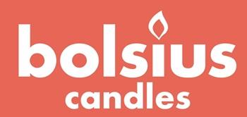 bolsius candles logo