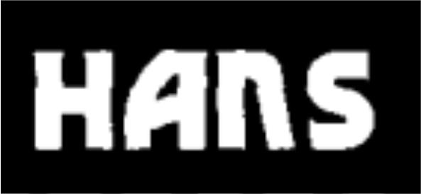 HANS logo