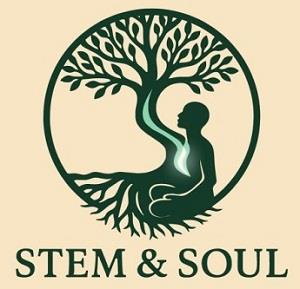 STEM & SOUL logo