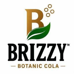 BRIZZY logo