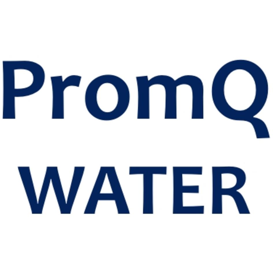 PromQ WATER logo