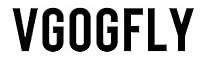 VGOGFLY logo