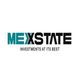 MEXSTATE INVESTMENTS AT ITS BEST logo