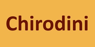 CHIRODINI logo