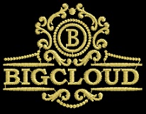 BIGCLOUD logo