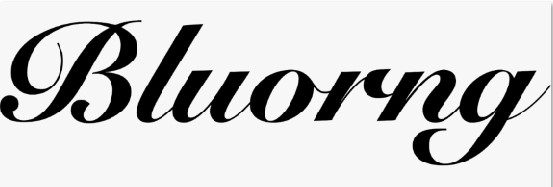 BLUORNG logo