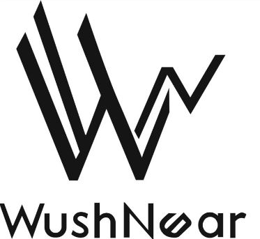WUSHNEAR WITH THE DEVICE OF WN logo