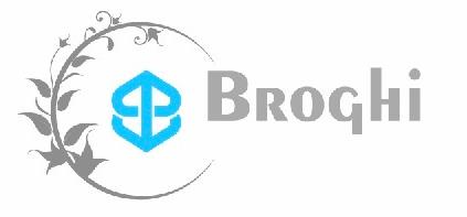 BROGHI logo