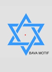 BAVA MOTIF logo