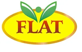 FLAT logo