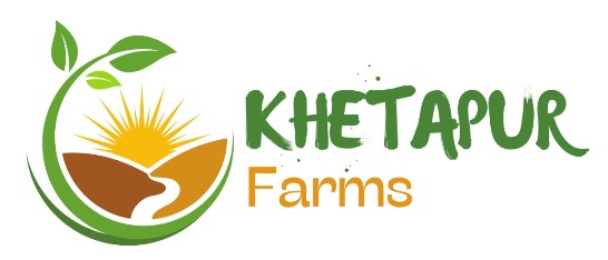 KHETAPUR FARMS logo