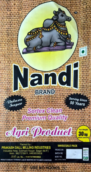 NANDI logo