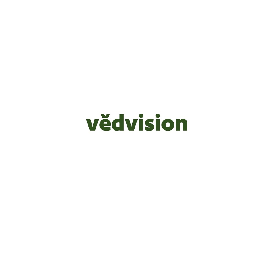 vedvision logo