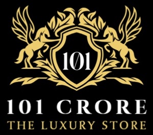 101 CRORE logo