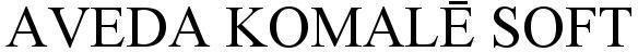 Trademark Logo
