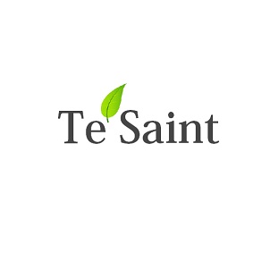 Tesaint logo