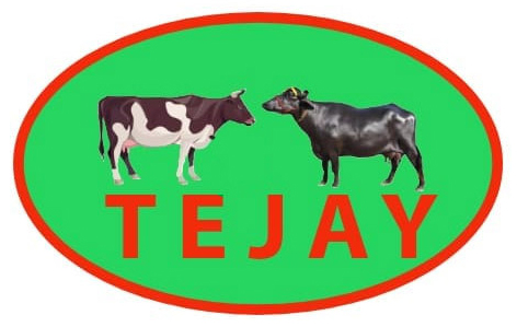 TEJAY logo