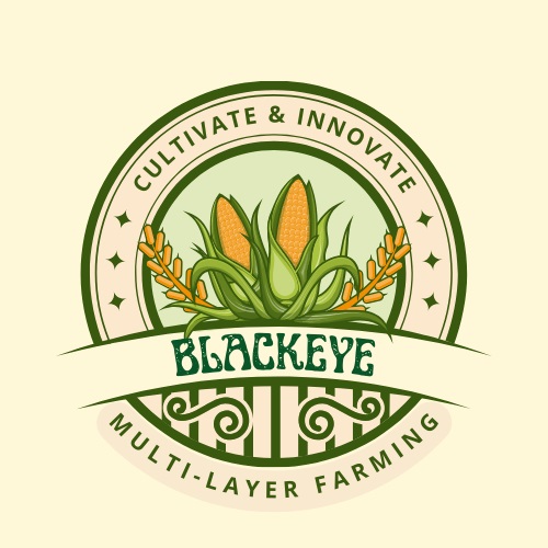 BLACKEYE logo
