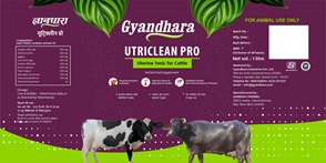 GYANDHARA UTRICLEAN PRO logo