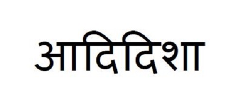 AADIDISHA logo