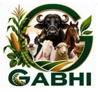 GABHI logo