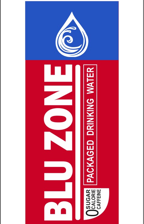 BLU ZONE logo