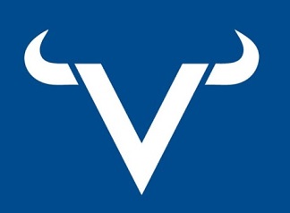 DEVICE of V logo