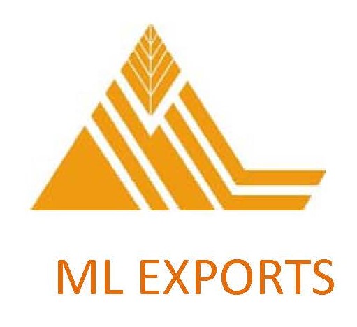 ML EXPORTS logo