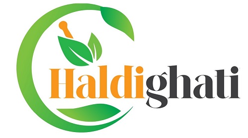 HALDIGHATI logo