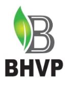 BHVP (device) logo