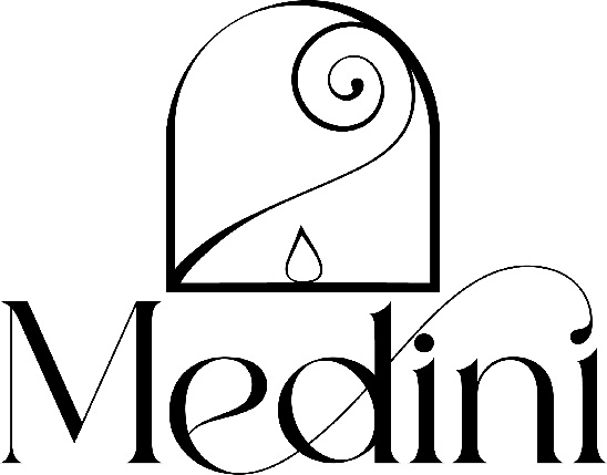 MEDINI logo