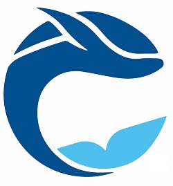 DEVICE OF DIVING WHALE logo