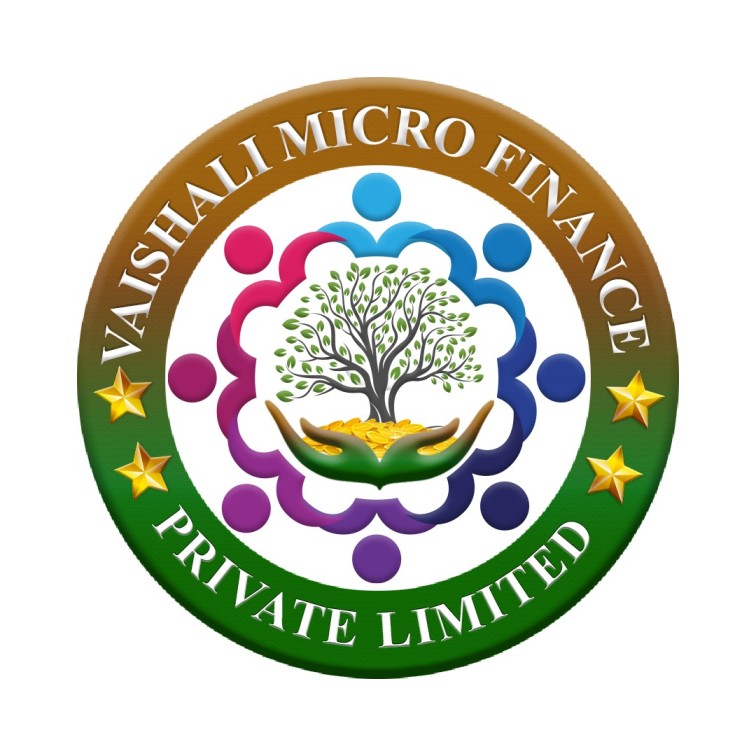 VAISHALI MICRO FINANCE PRIVATE LIMITED logo