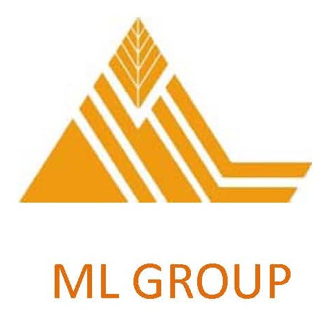 ML GROUP logo
