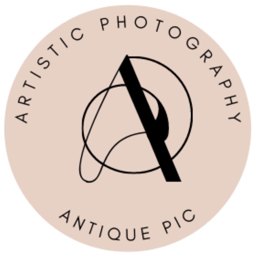 ARTISTIC PHOTOGRAPHY ANTIQUEPIC logo