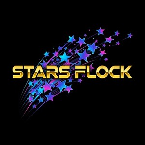 STARS FLOCK logo